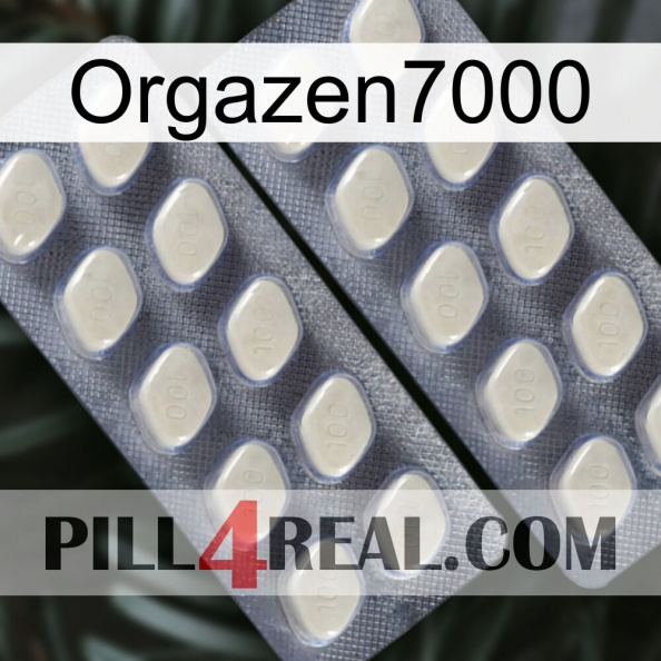 Orgazen7000 07.jpg